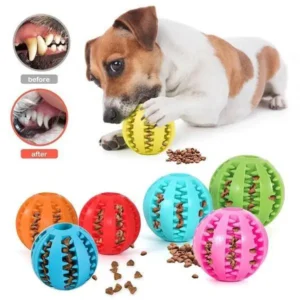 Pet Toy Dog Chew Toy Play Teeth Massage Rubber Ball Interaktivní hračka pro psy Čištění zubů míče